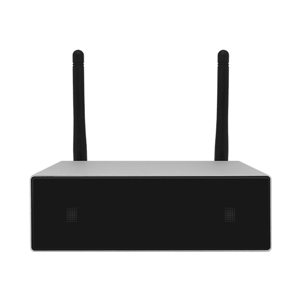DW0250 WIFI Streaming Amplifier