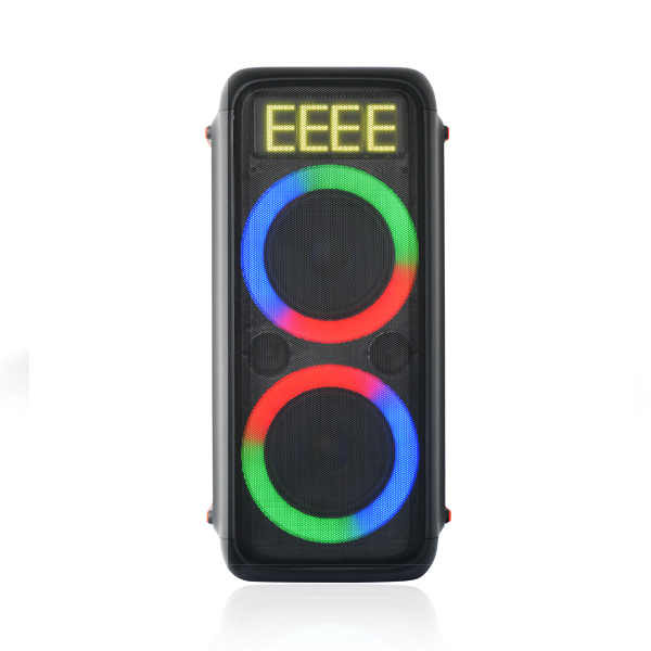 DSP2812A 120W Party Speaker with 2 Wireless Microphone