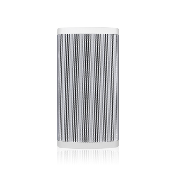 Exploring the Versatility of Outdoor Column Speakers in Public Parks