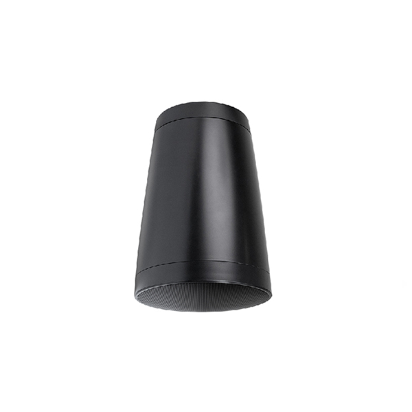 DSP6030P 40W 6.5-inch IP66 Outdoor Pendant Speaker