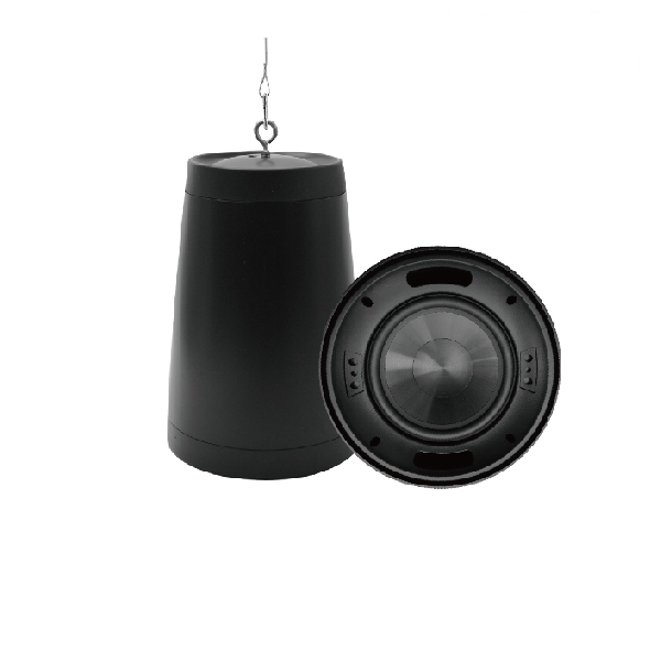 DSP8050SUB  8 Inch Pendant Mount Subwoofer