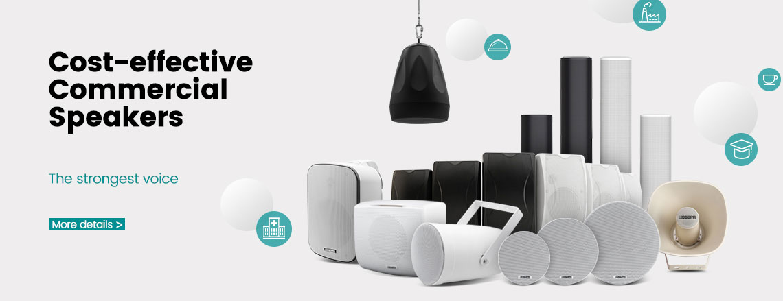 Cost-effective Commercial Speakers