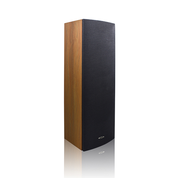 DSP203II Indoor Column Speaker