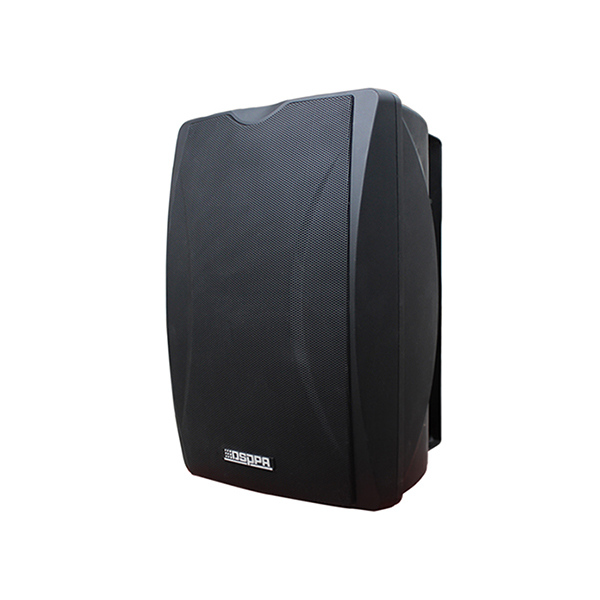 DSP6606E POE Wall Mount Speaker