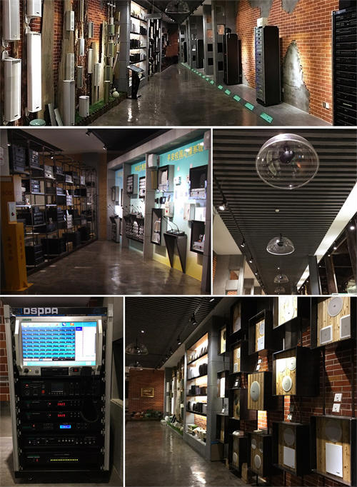 dsppa museum