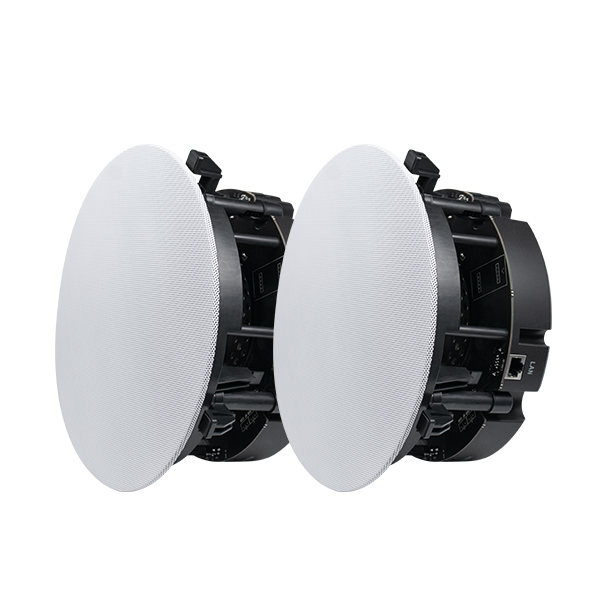 DW2235  6.5 Inch 2-Way Stereo WiFi  & Bluetooth Ceiling speakers