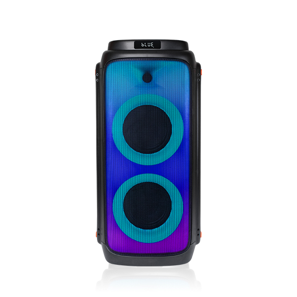 DSP2612B High Power Portable Wireless Bluetooth Party Speakers