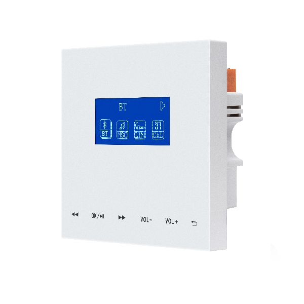 DM935  Intelligent In-wall Music Amplifier