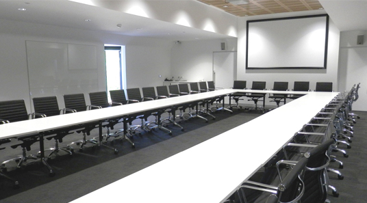 Large Conference Room (Meet X)