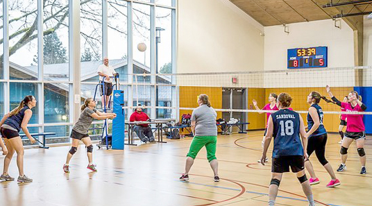 Gymnasium