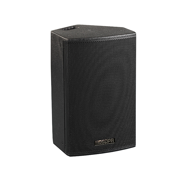 Professional Active Loudspeaker
