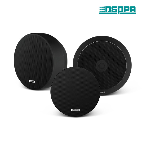 Black Ceiling Speaker