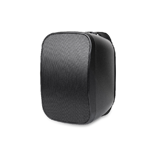 Professional Wallmount Speaker
