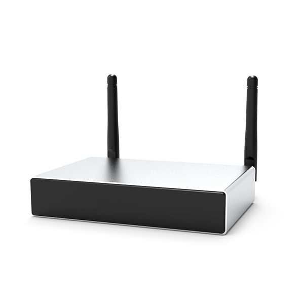 DW0235 WIFI Intelligent Audio Streamer